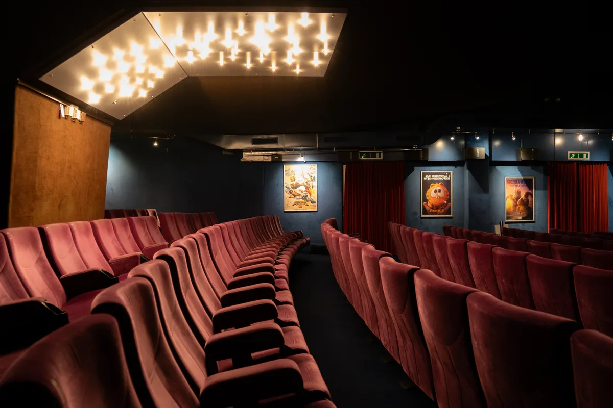 Blick in einen Kino-Saal mit bordeauxroten Sesseln.